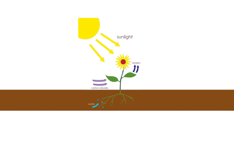 Figure 2. Target 2D image to visualize in 3D representation Figure 2. Target 2D image to visualize in 3D representation